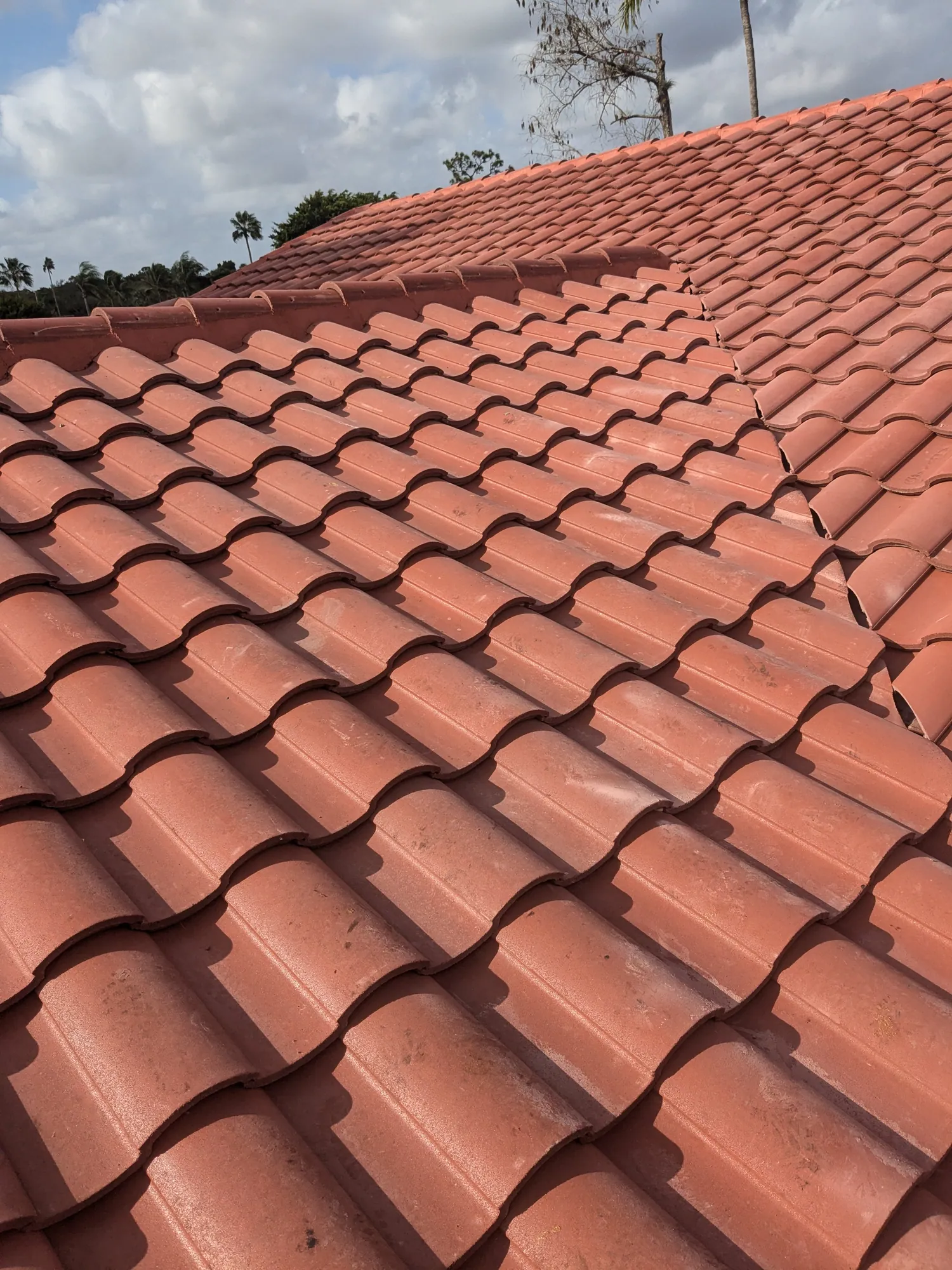 Finished terracotta barrel tile roof installation on a South Florida home, framed by palm trees